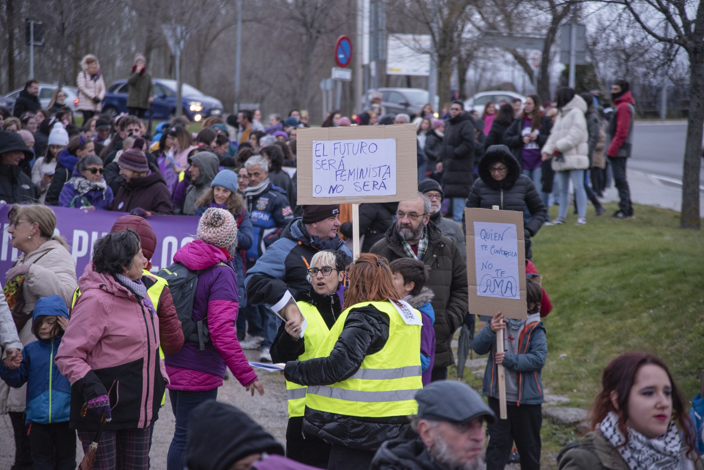 La manifestación del 8M en Segovia, en imágenes