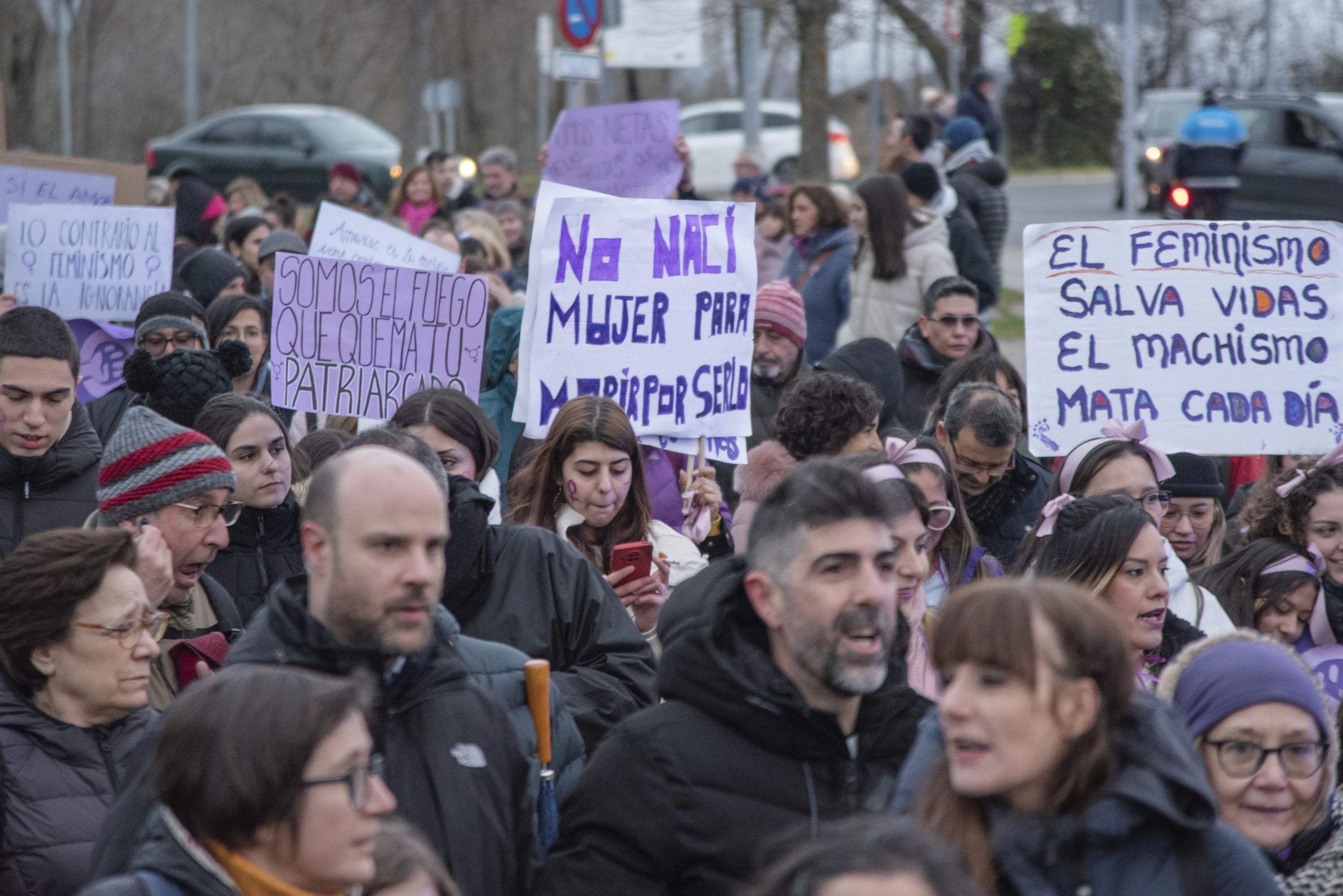 La manifestación del 8M en Segovia, en imágenes