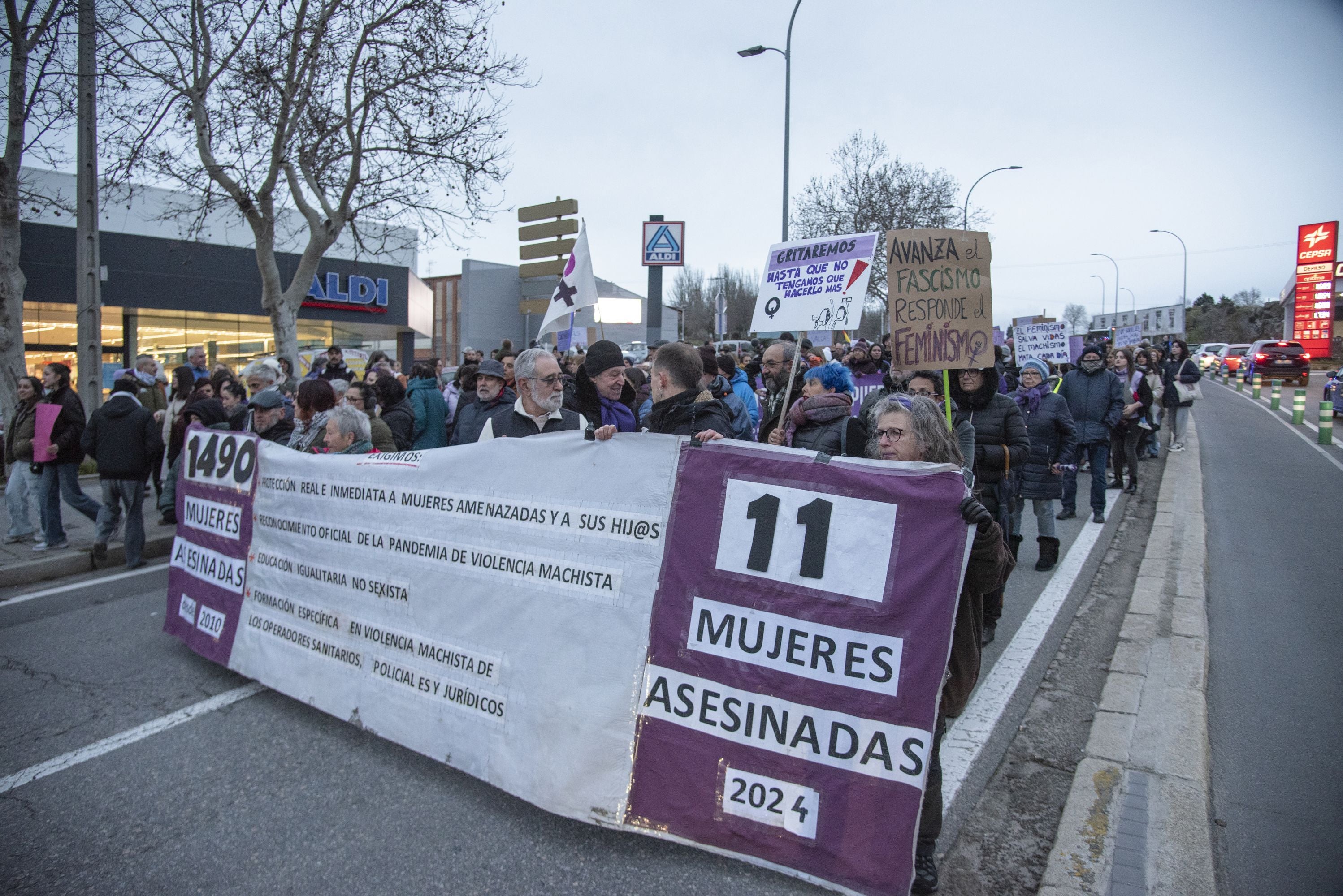 La manifestación del 8M en Segovia, en imágenes