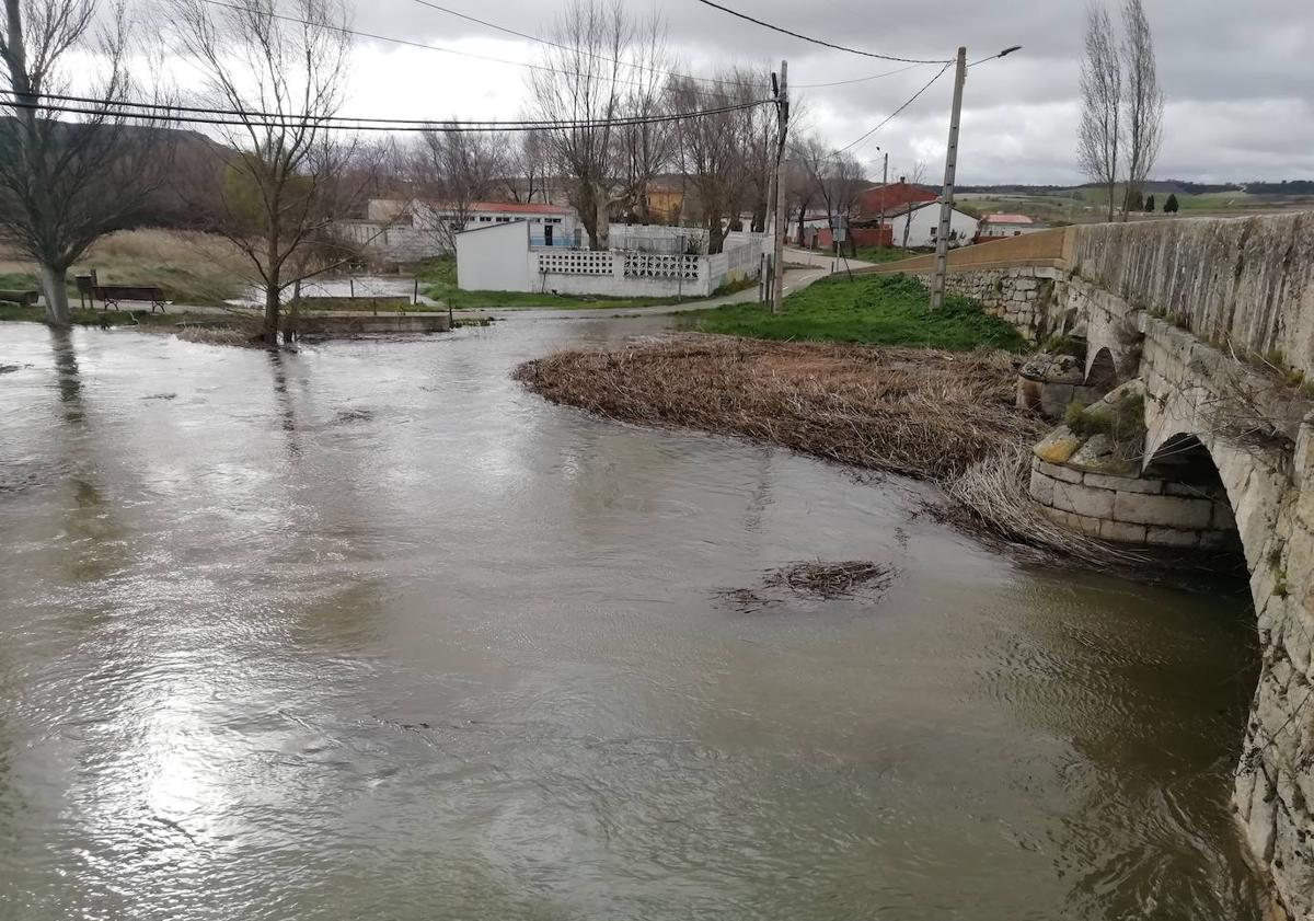 Imagen principal - Arriba, el río desbordado en Olmos de Esgueva y, debajo a la izquierda, el agua anegando el carril bici. A la derecha, tierras anegadas en Villarmentero.