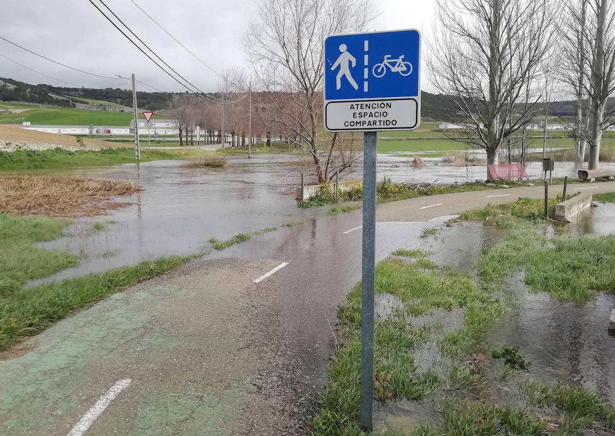 Imagen secundaria 1 - Arriba, el río desbordado en Olmos de Esgueva y, debajo a la izquierda, el agua anegando el carril bici. A la derecha, tierras anegadas en Villarmentero.