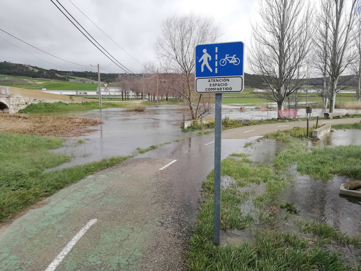 El río Esgueva a su paso por Olmos de Esgueva