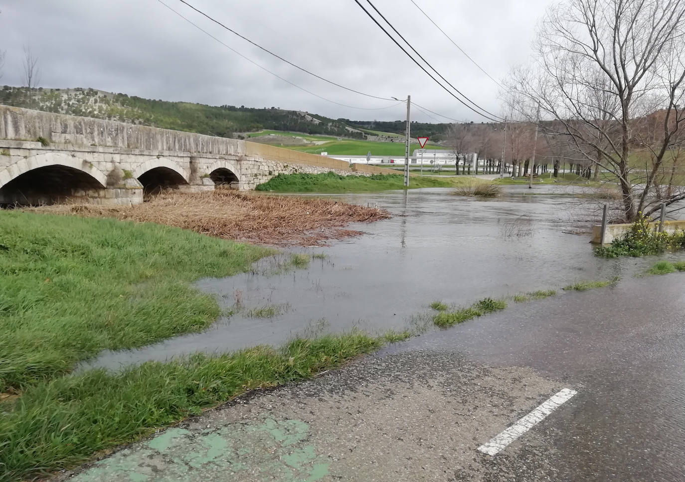 El río Esgueva a su paso por Olmos de Esgueva