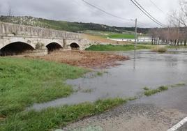 El puente de Olmos de Esgueva, taponado por las ramas en la mañana del domingo.