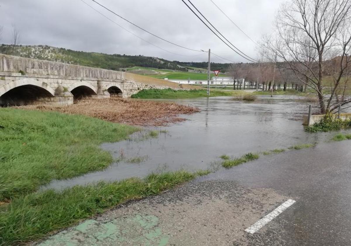 El puente de Olmos de Esgueva, taponado por las ramas en la mañana del domingo.