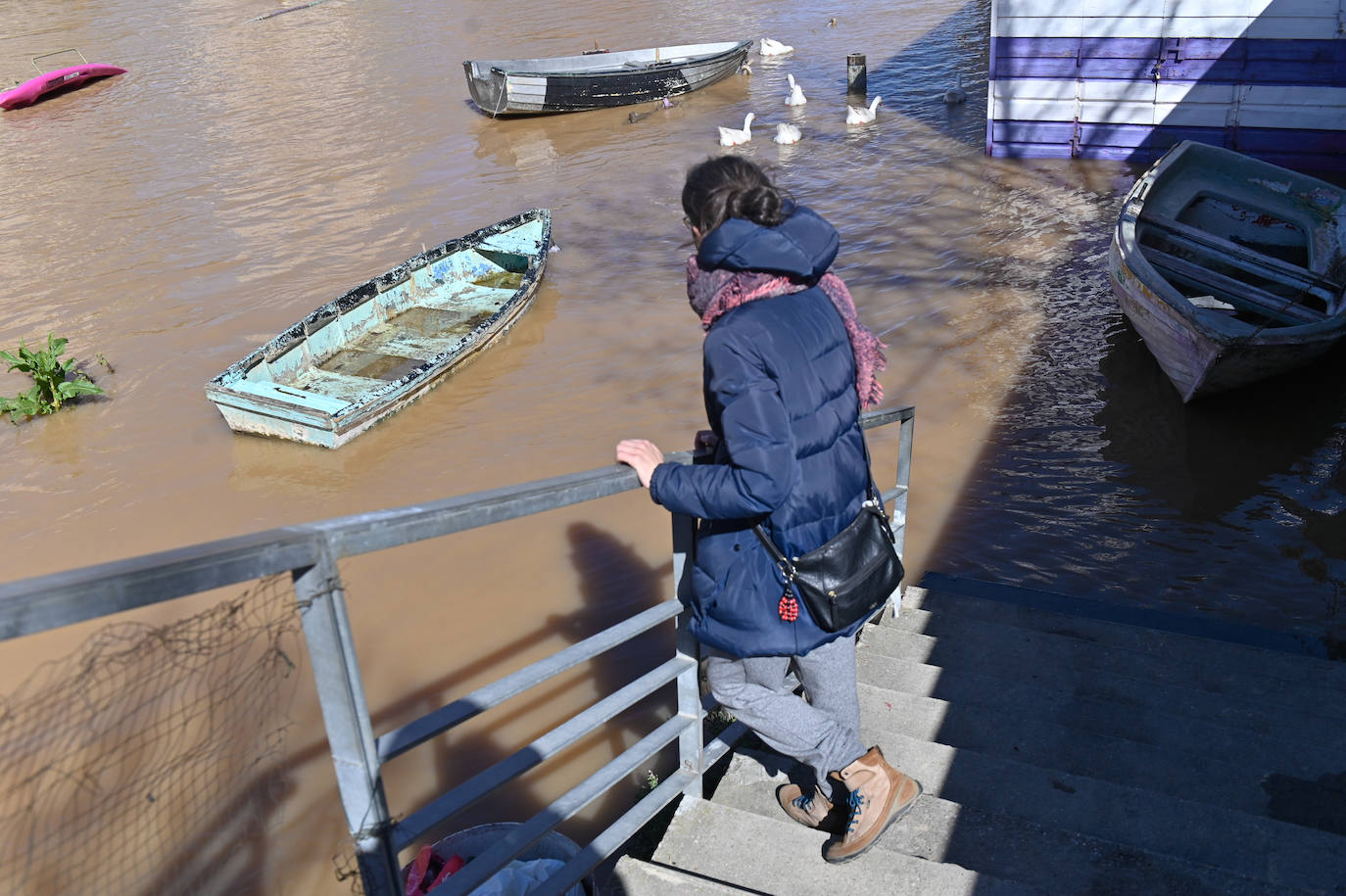 Crecida del río Pisuerga en Valladolid. Playa de las Moreras