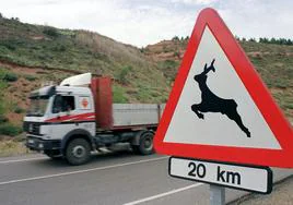 Circular por carreteras secundarias a menudo implica encuentros con animales.
