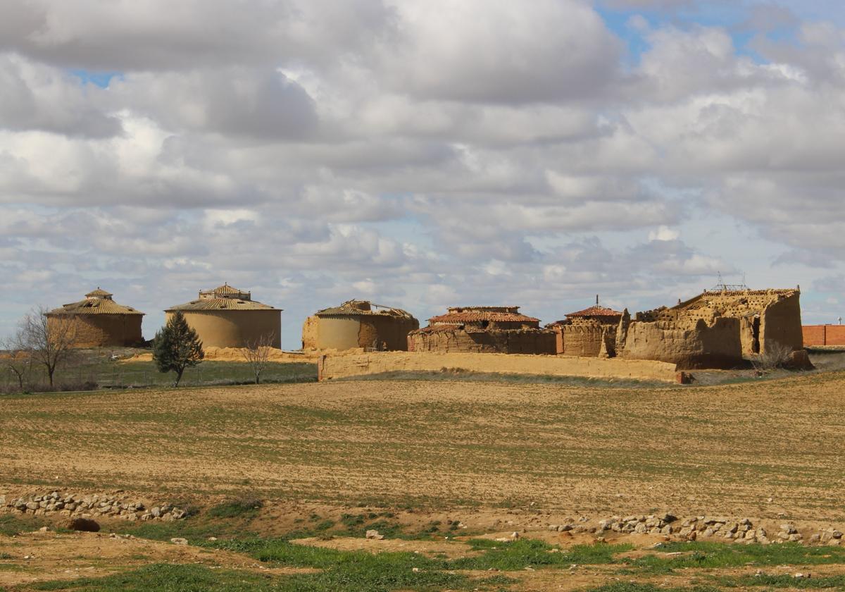 Conjunto de palomares de Guaza de Campos.