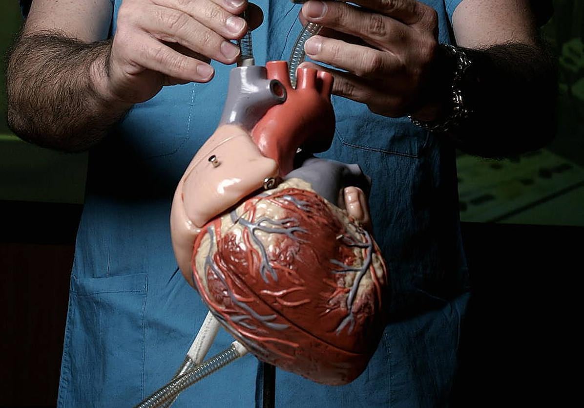 Corazón, cabeza y tripas