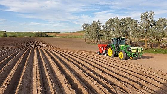 El tiempo da una tregua y comienza «lentamente» la siembra de patatas