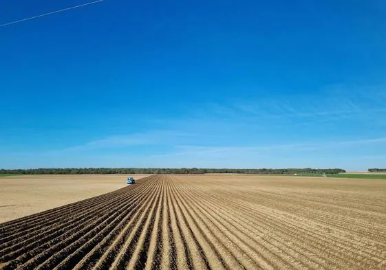 Un agricultor realiza labores de siembra en la provincia de Valladolid, esta semana.