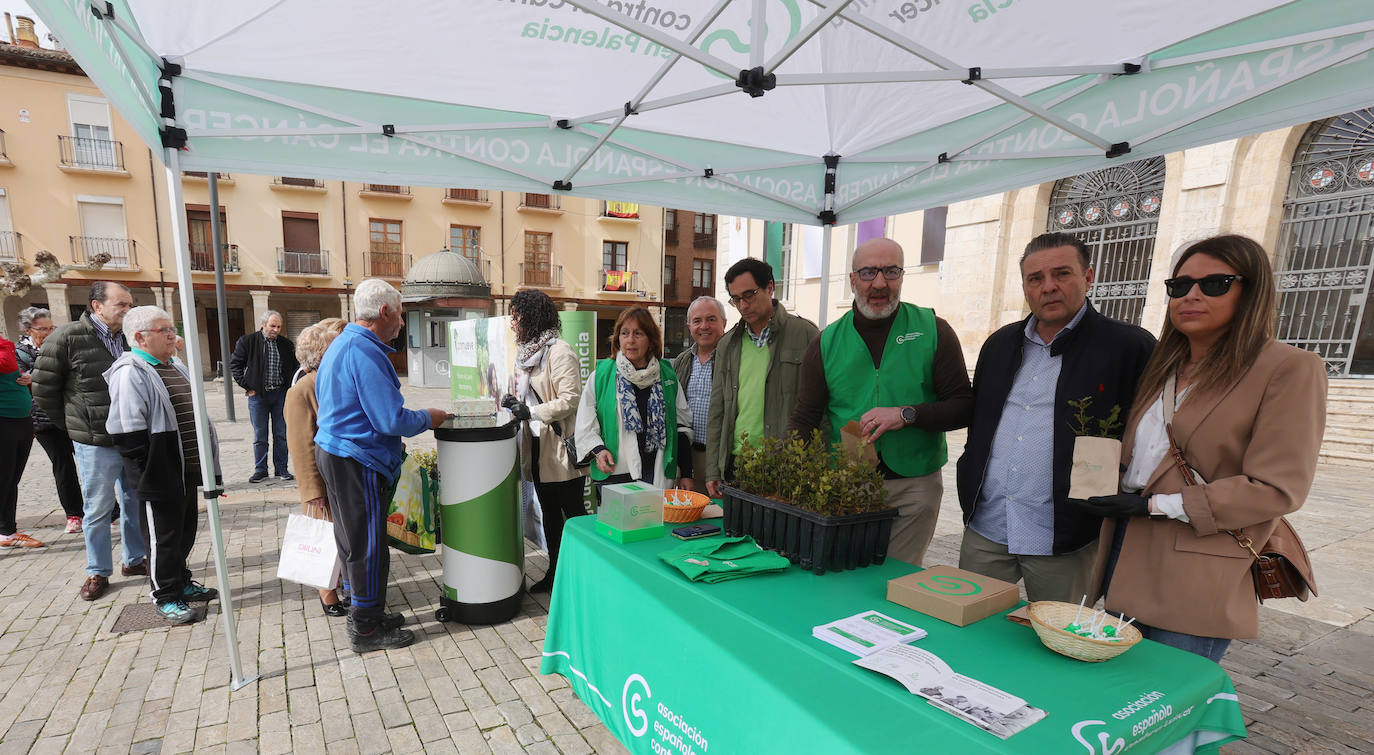 Un millar de ejemplares de árboles para mejorar el planeta en Palencia