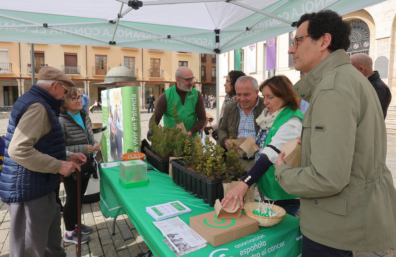 Un millar de ejemplares de árboles para mejorar el planeta en Palencia