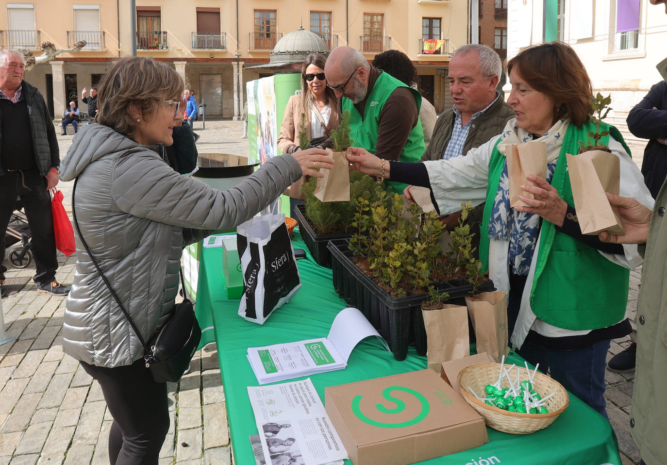 Un millar de ejemplares de árboles para mejorar el planeta en Palencia