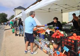 Feria de Alimentos de Segovia.