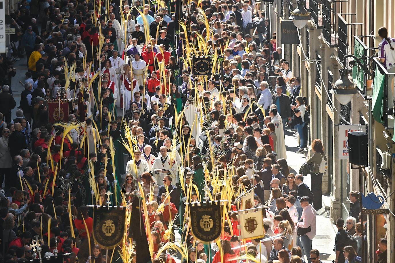 Procesión de La Borriquilla en Valladolid