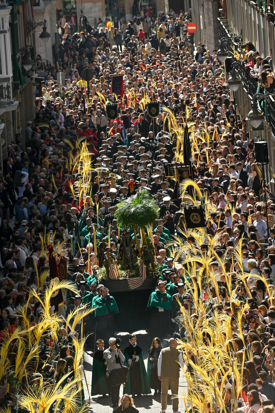 Procesión de La Borriquilla en Valladolid