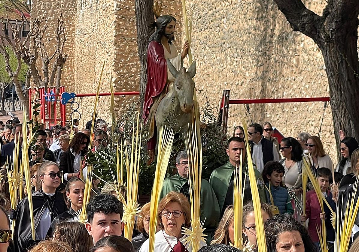 Procesión de la borriquilla con novedad en Olmedo