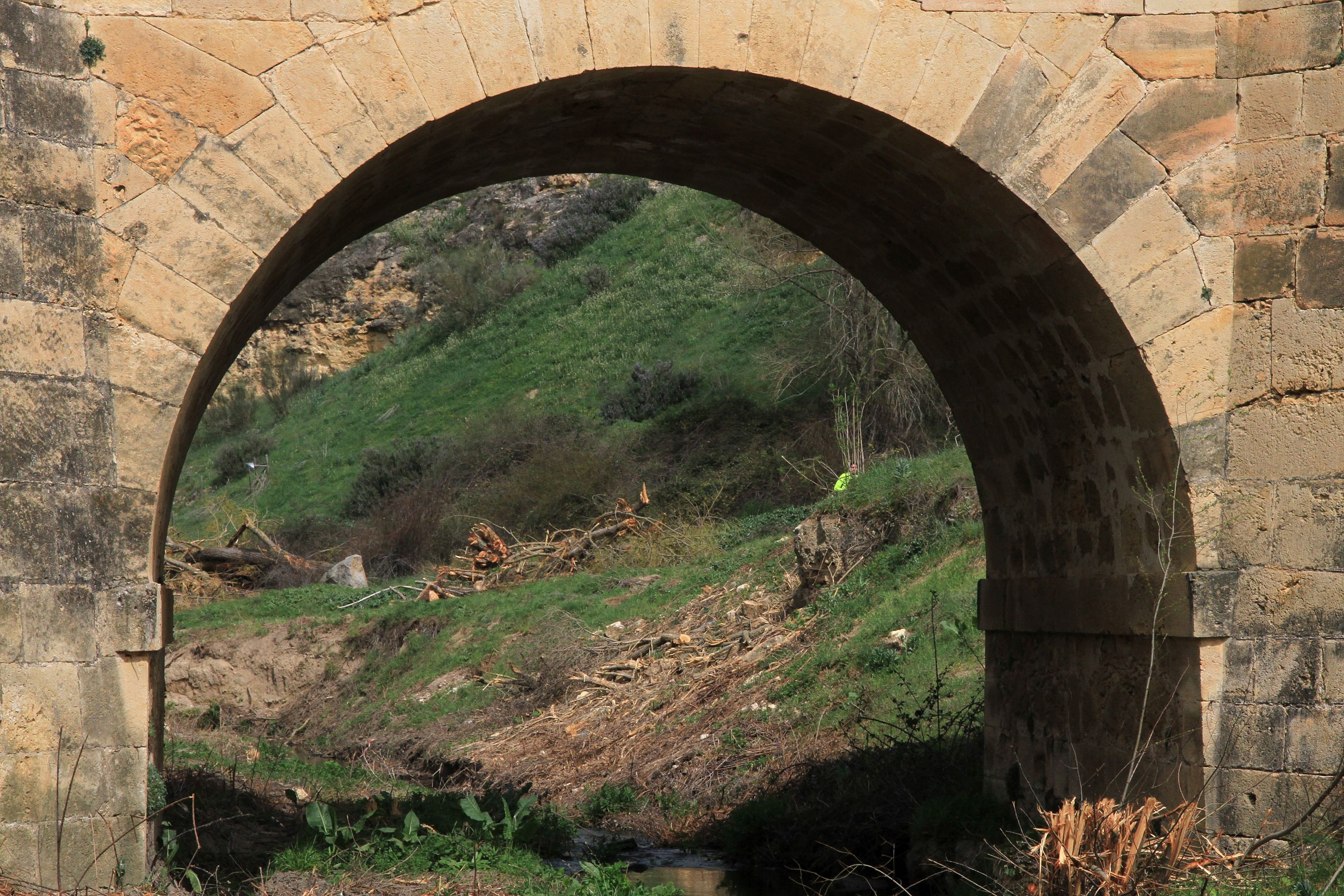 Así está el entorno del arroyo Tejadilla de Segovia