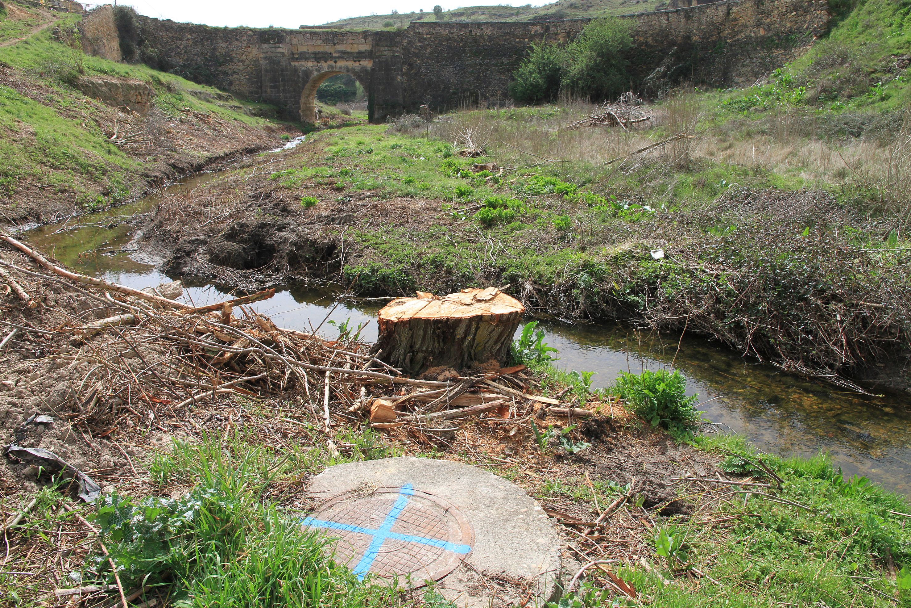 Así está el entorno del arroyo Tejadilla de Segovia
