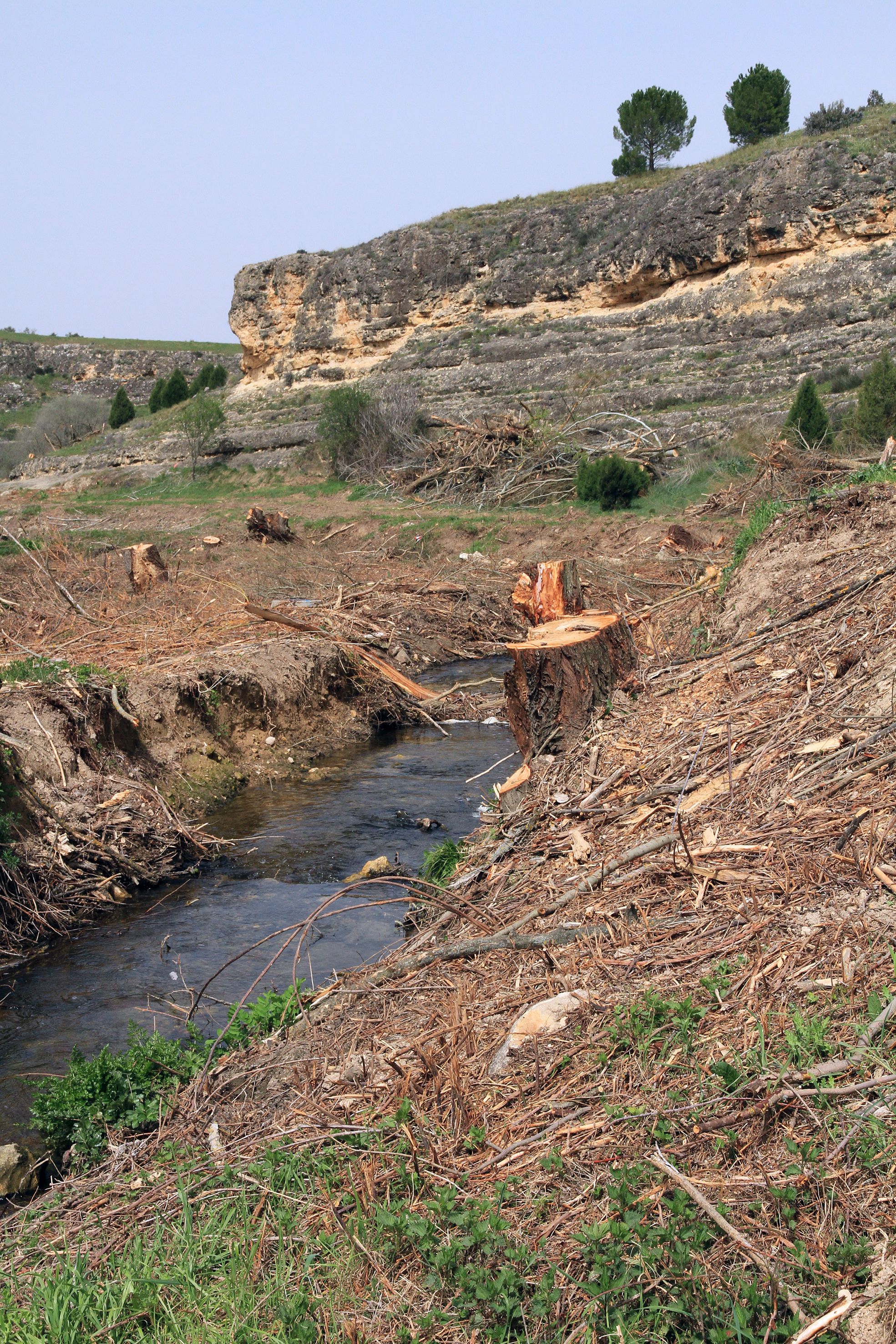 Así está el entorno del arroyo Tejadilla de Segovia