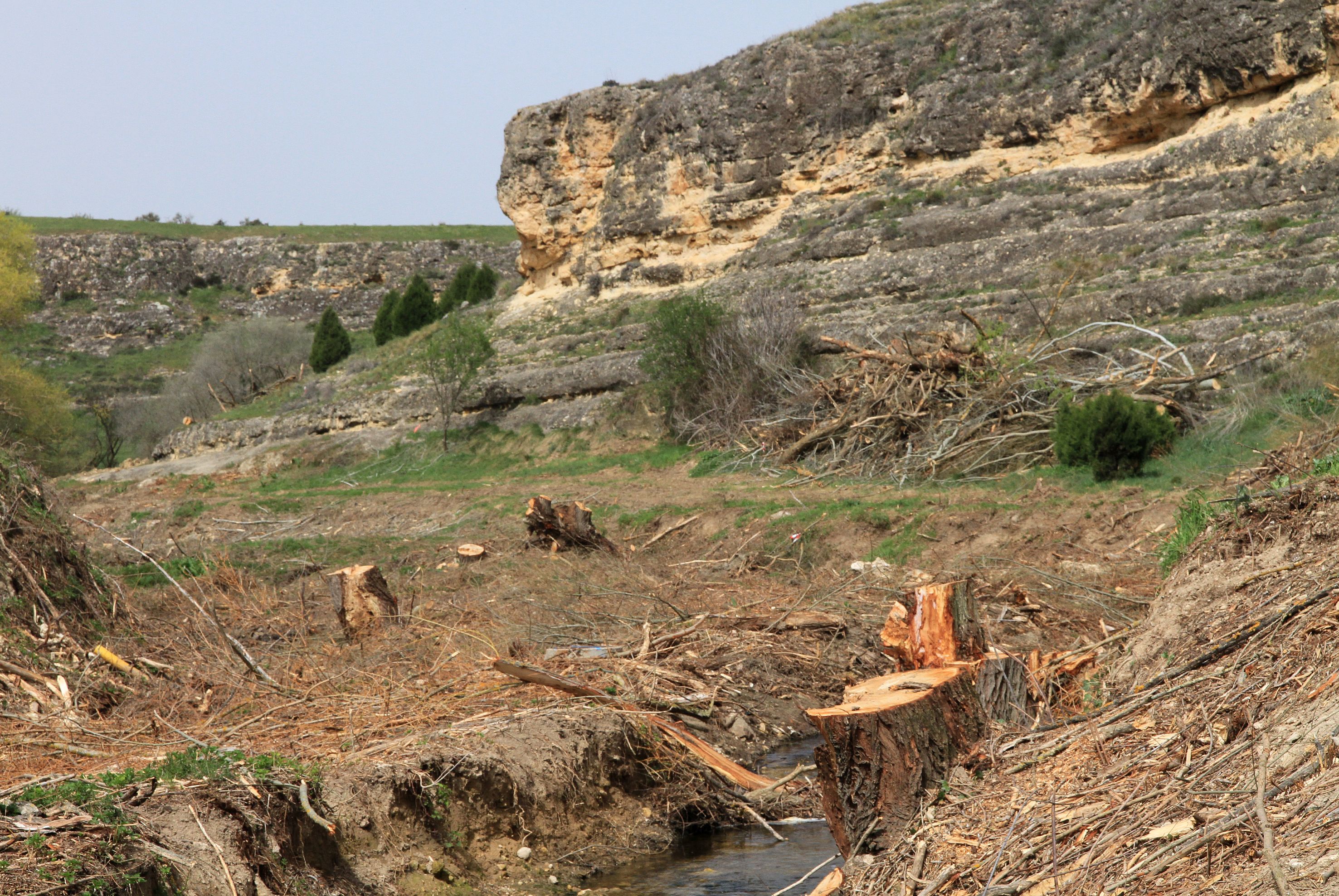 Así está el entorno del arroyo Tejadilla de Segovia