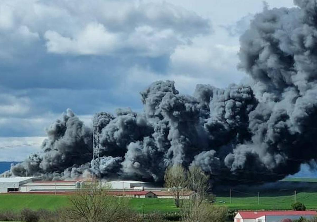 El fuego devora una granja y deja 45.000 gallinas muertas en un pueblo de Burgos