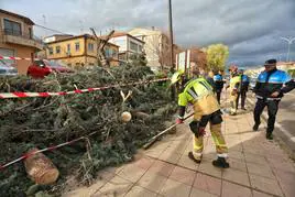 Los bomberos retiran las numesosas ramas caídas en Cidad Rodrigo.