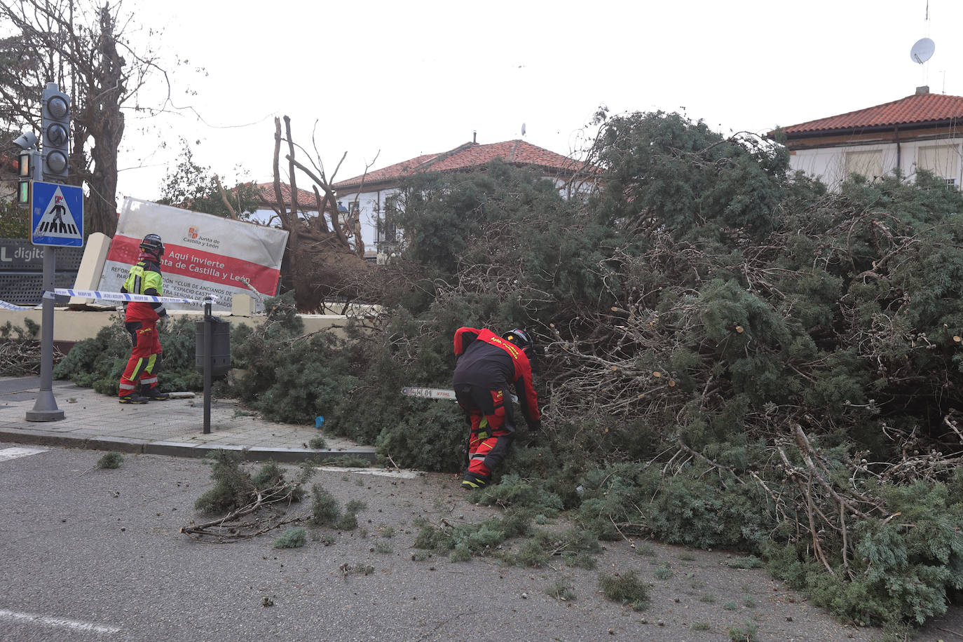 Palencia sufre los efectos del fuerte viento