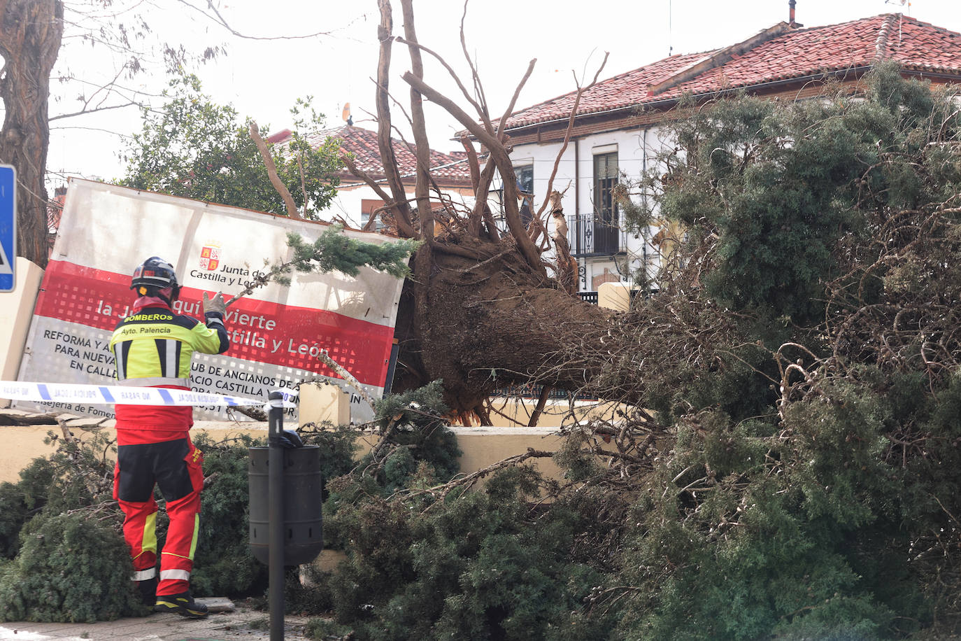 Palencia sufre los efectos del fuerte viento