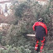 Palencia sufre los efectos del fuerte viento