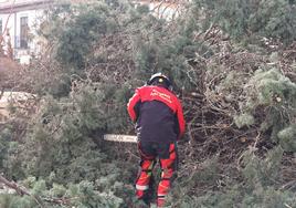 Palencia sufre los efectos del fuerte viento