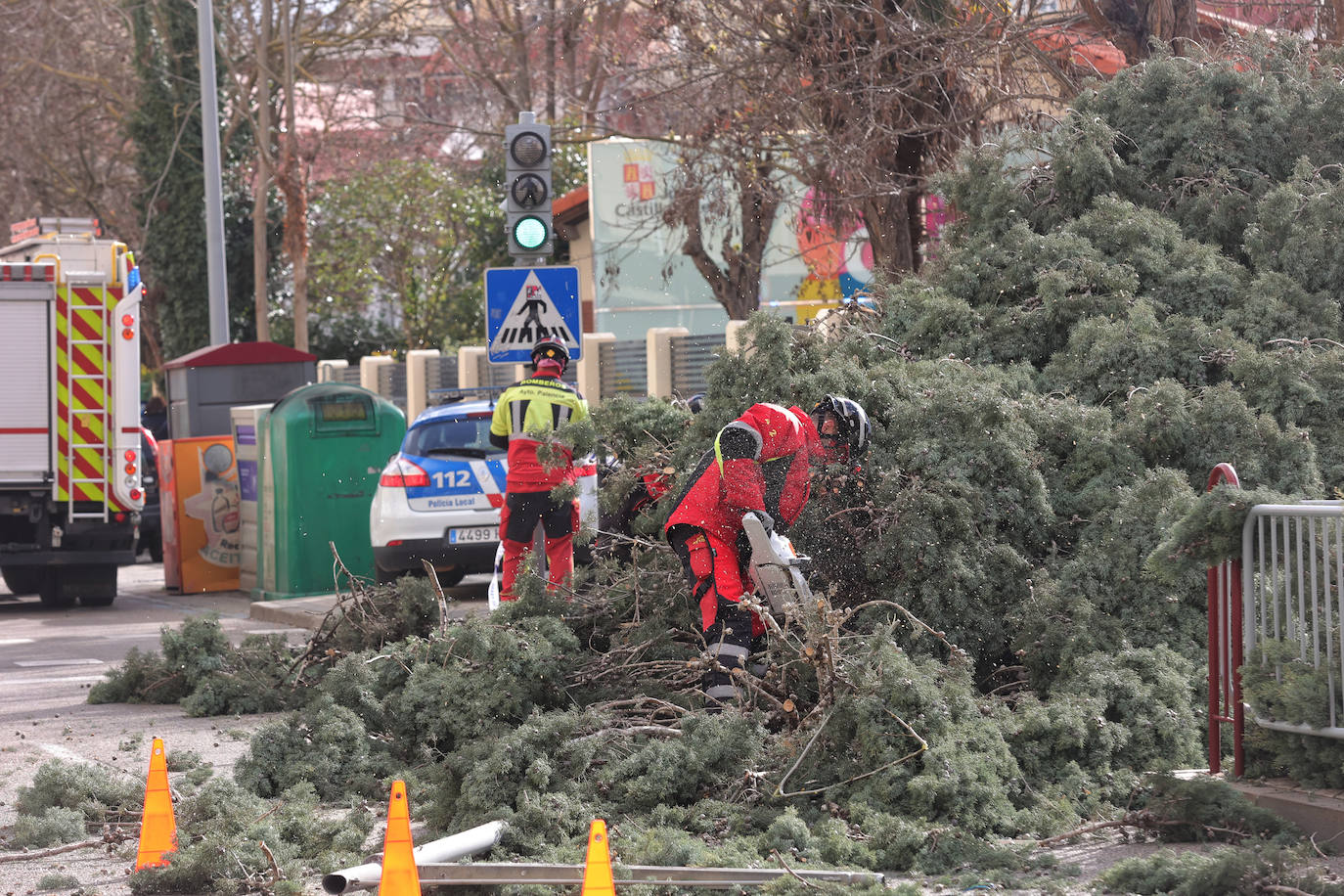 Palencia sufre los efectos del fuerte viento