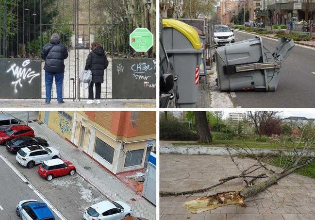 De izquierda a derecha, el Campo Grande cerrado, un contenedor caído en Parquesol, cascotes caídos en José Luis Arrese y rama caída en el parque Tomás Rodríguez Bolaños.