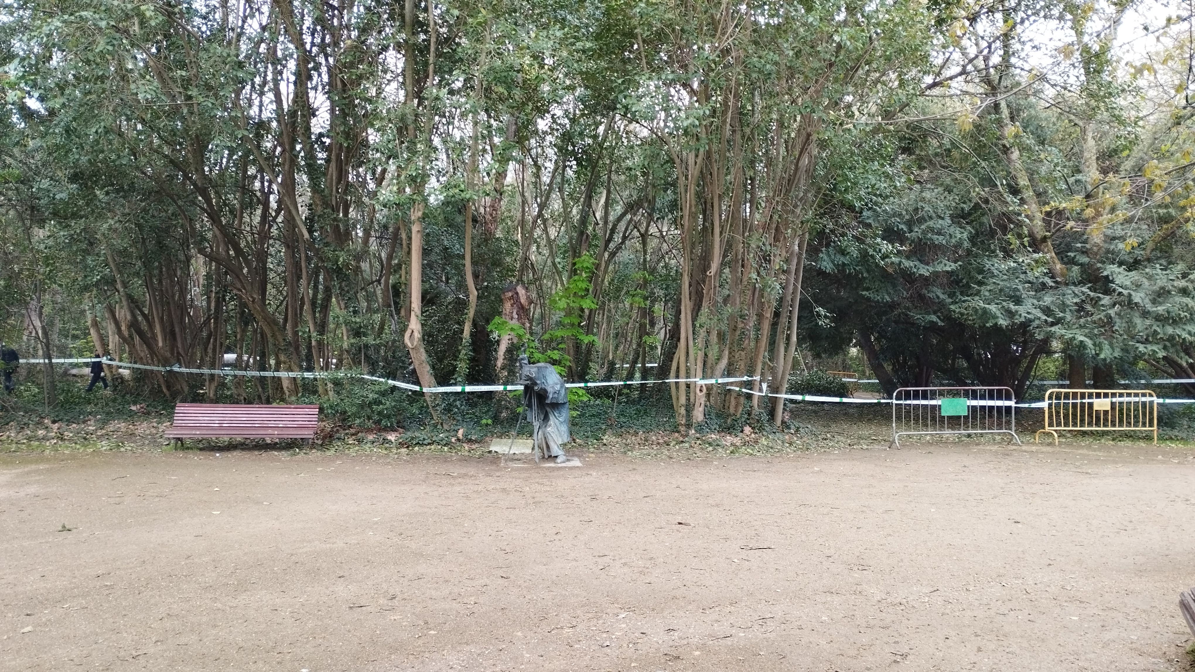 Las imágenes de la caída del árbol de más de diez metros en Campo Grande