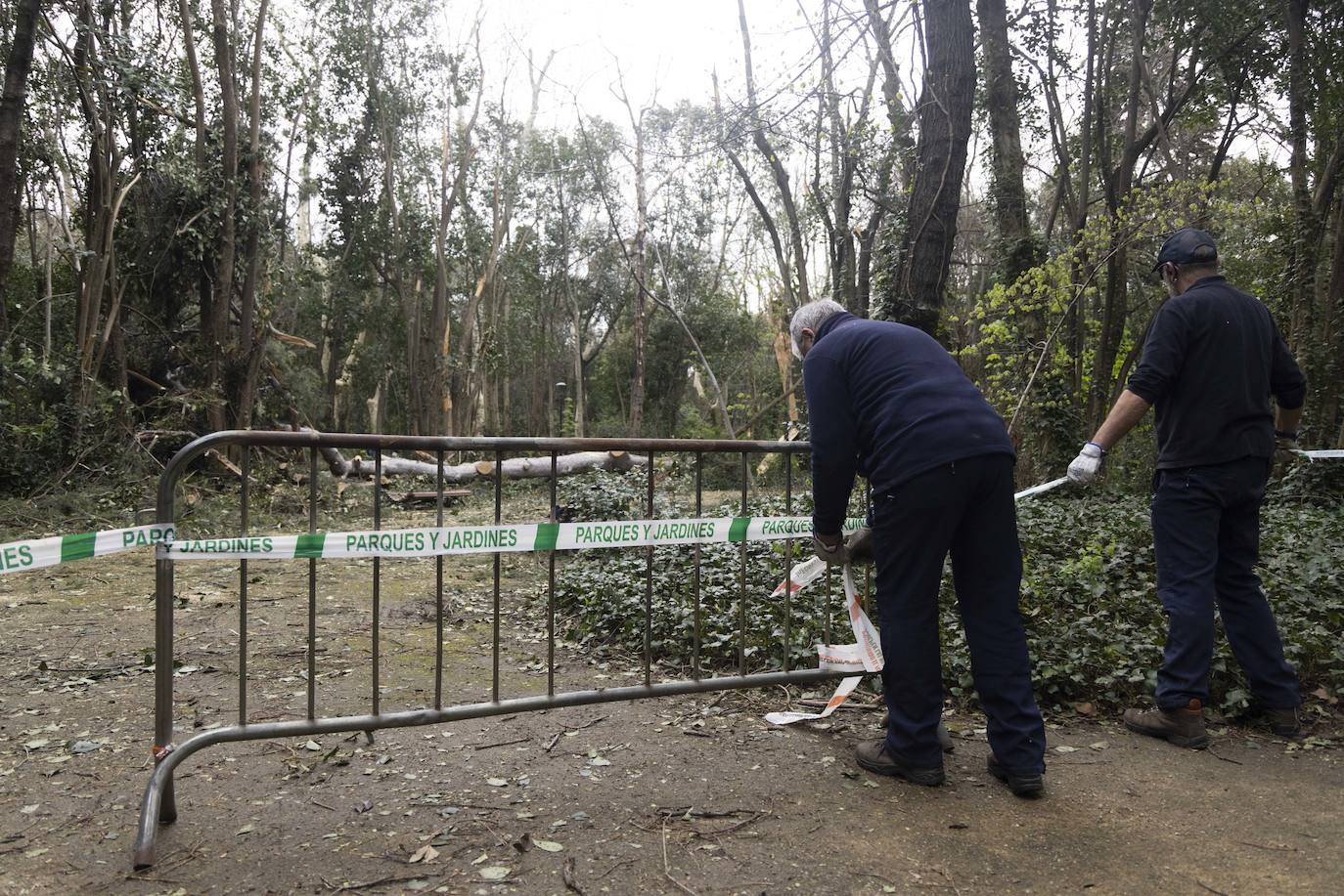 Las imágenes de la retirada de los árboles derribados por el viento en Campo Grande