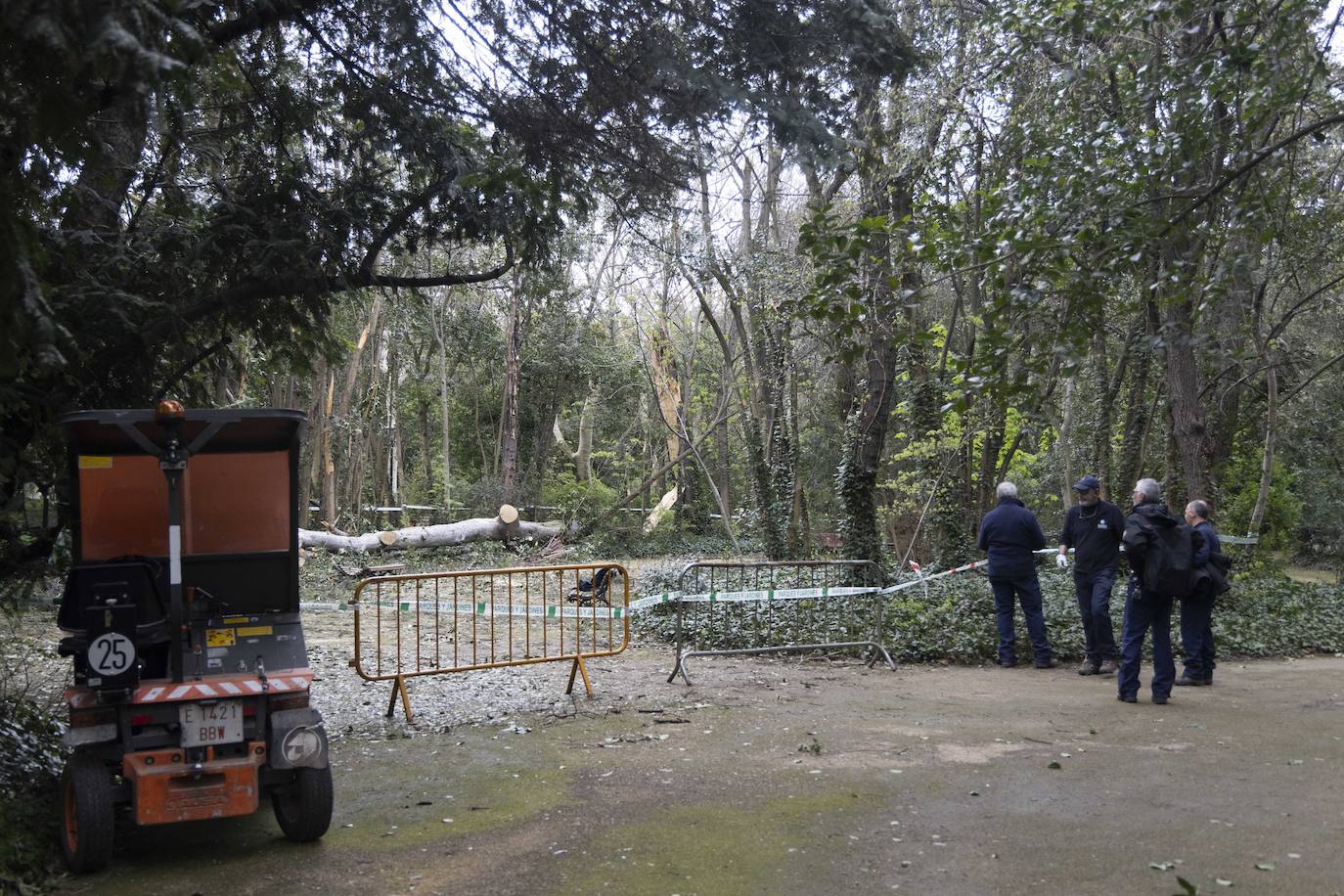 Las imágenes de la retirada de los árboles derribados por el viento en Campo Grande