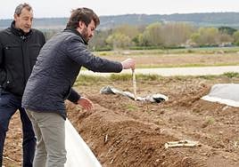 El vicepresidente de la Junta visita Huerta Luis San José-Espárragos Ecológicos, en Tudela de Duero