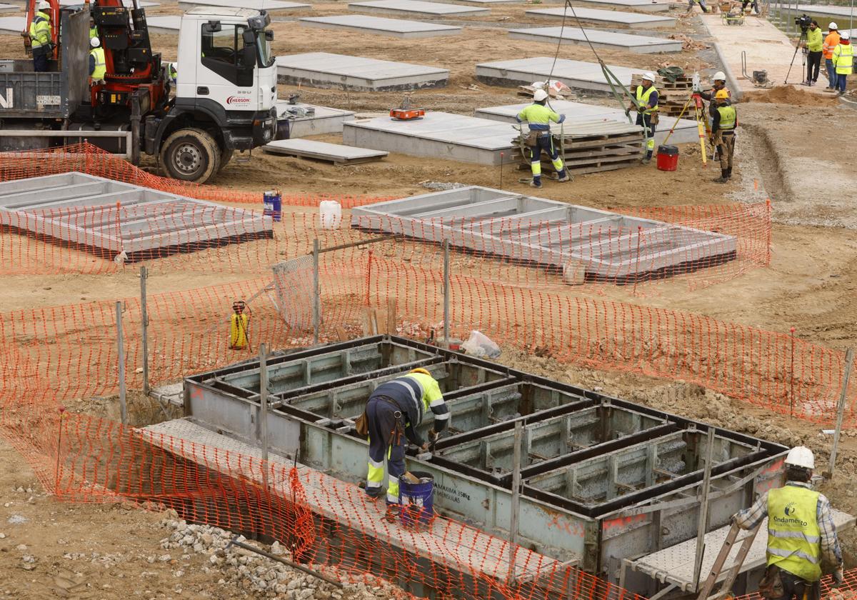 Operarios durante las obras en el cementerio de Las Contiendas de Valladolid.