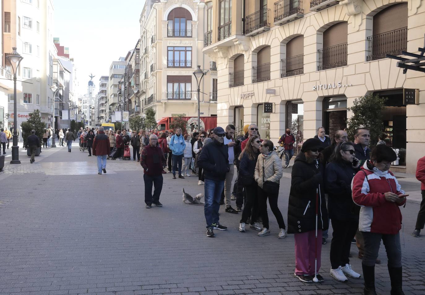 Colas en el reparto de tarrinas con fresas en Valladolid