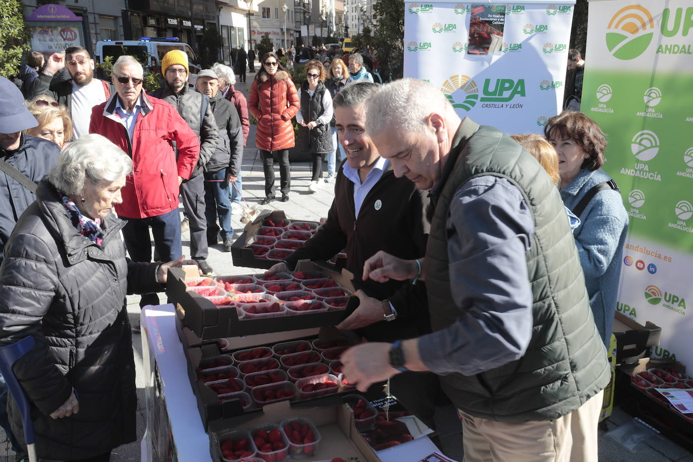 Colas en el reparto de tarrinas con fresas en Valladolid