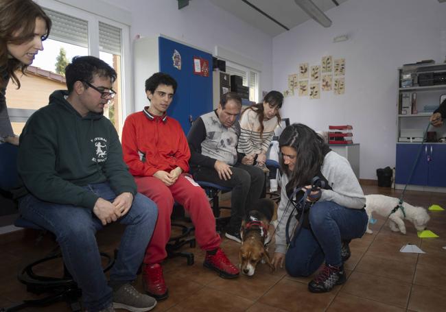 Un momento de la actividad de canoterapia.