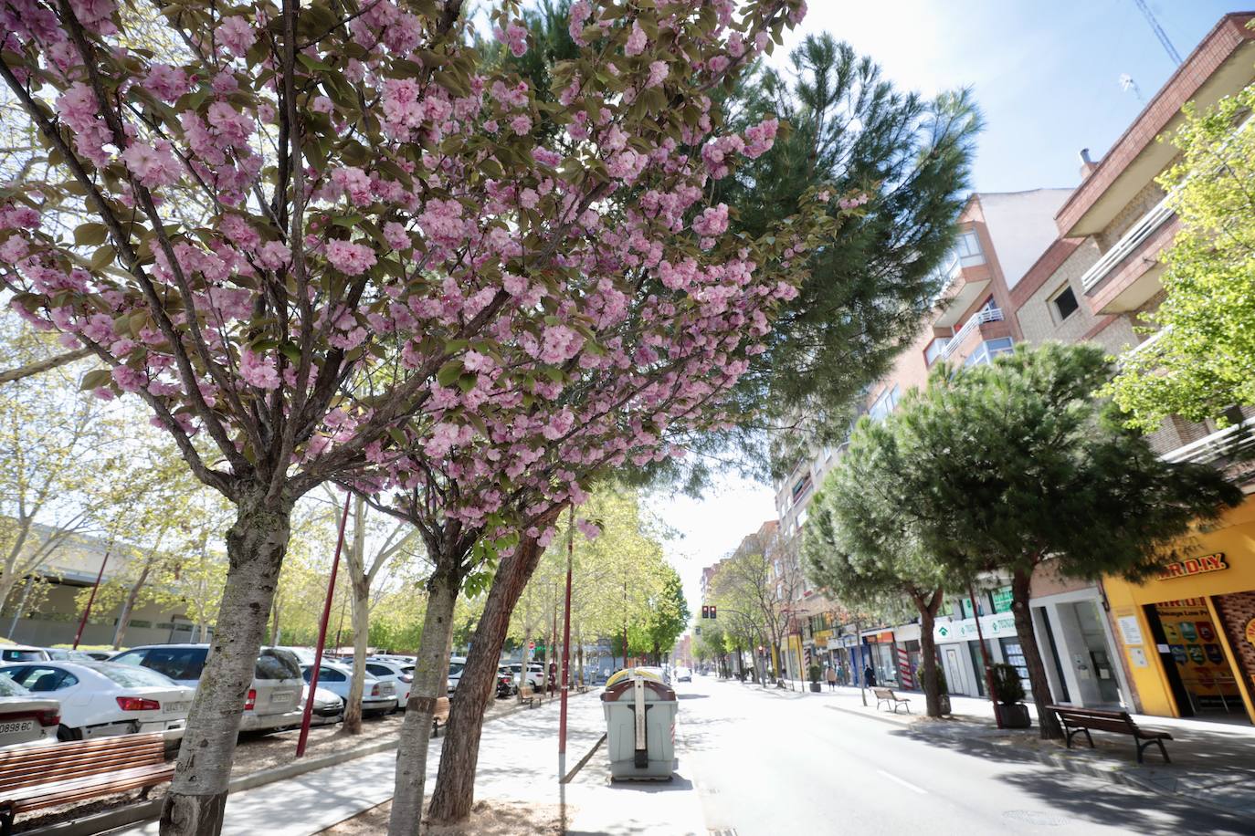 Paseo, foto a foto, por la calle Cigüeña