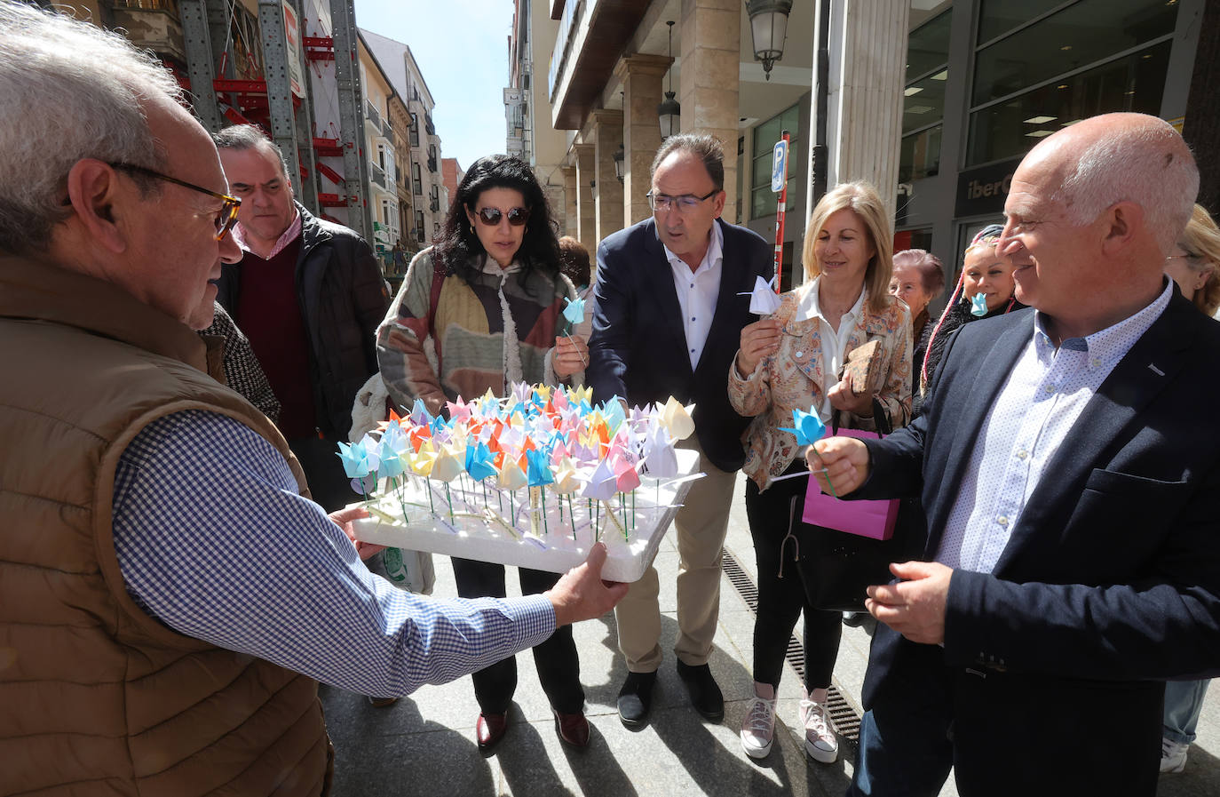 Tulipanes de papel en la Calle Mayor de Palencia