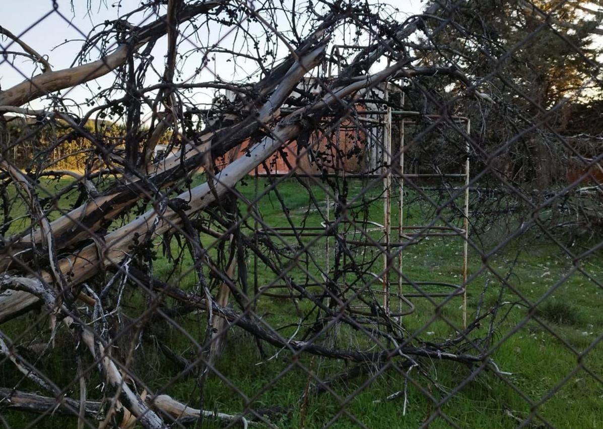 Imagen secundaria 1 - Estado actual del colegio Saint Michael en Palazuelos de Eresma.