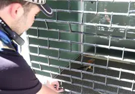 Un agente de la Policía Local vigila el ave encerrada tras la verja de un comercio.