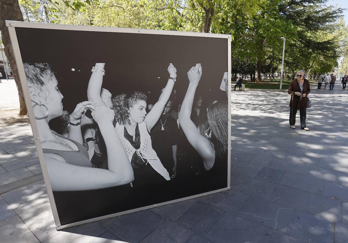 Exposición en el parque del Salón del Festival Internacional de Fotografía del año pasado.