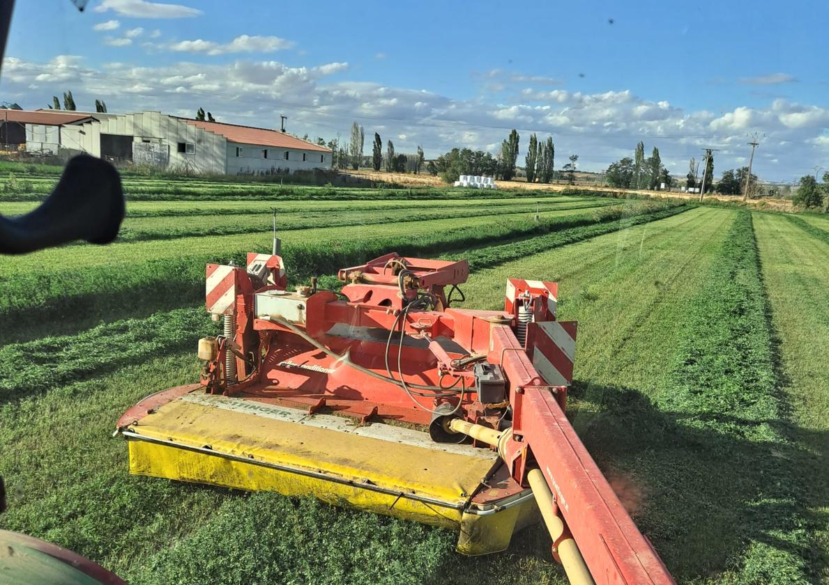 Corta de alfalfa.