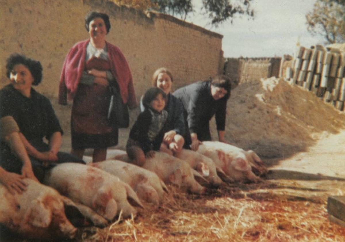 Imagen principal - Las morcillas vallisoletanas que llegaron hasta la Antártida