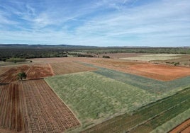 Superficie agraria en la provincia de Burgos.